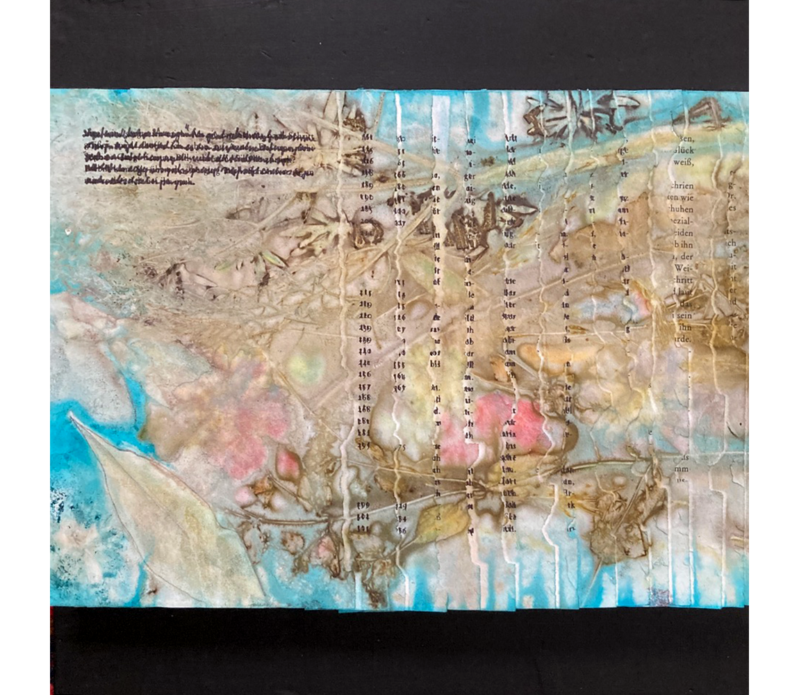 "Seeing as if for the First Time" - Helga Winter | PNW Fine Art & Craft Mixed Media | Olympia, WA Fine Art and Craft, since 1971